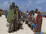 Nijerya'da Boko Haram Teröristlerinden Kaçan 200 Kişi Açlık ve Susuzluktan Öldü