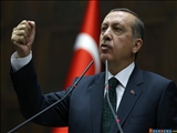 Erdoğan: Saldırıyı 12-14 Yaşlarında Bir Işid Mensubu Gerçekleştirdi