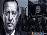 Türkiye son yıllarda terörün baş hamisi olmuştur