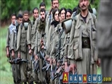 "Batılılar PKK'yı Türkiye'ye istediklerini yaptırmak için kullanıyor"