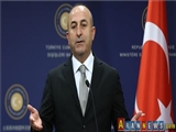 Türkiye Dışişleri Bakanı : Alman vekiller İncirlik üssünü ziyaret edemez