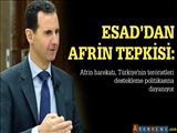 Esad: Afrin harekatı, Türkiye'nin teröristleri destekleme politikasına dayanıyor