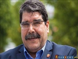 Salih Müslim gözaltına alındı, Türkiye iade talep etti