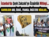 İstanbul'da Şeyh Zakzaki İçin Özgürlük Mitingi...