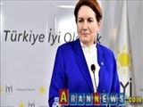 Meral Akşener, Cumhurbaşkanı yardımcısı olacak mı? İYİ Parti'den yanıt geldi