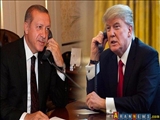 Erdoğan ile Trump Suriye'yi görüştü