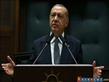 Erdoğan: Milli para kullanmaktan başka çıkış yolu yok