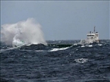 Azerbaycan: İran kargo gemisinin mürettebatını kurtardık