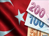 Türkiye Devam Eden Ekonomik Krizin Gölgesinde Banka Faiz Oranını Yüzde 25'e Çıkardı