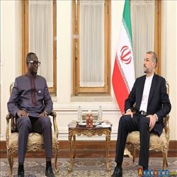 İran'ın Orta Afrika Cumhuriyeti İle İlişkileri Geliştirme Hazırlığı